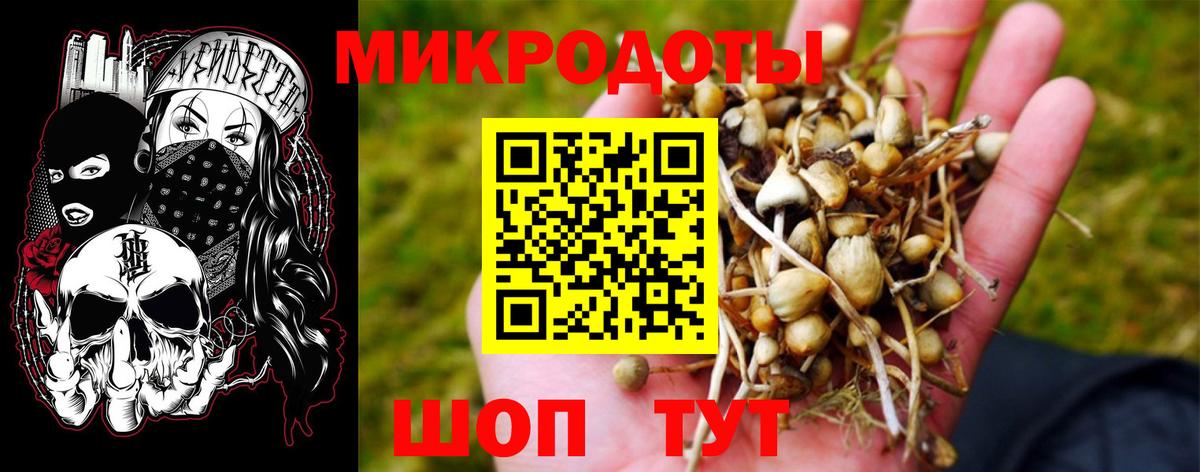 Псилоцибиновые грибы Psilocybine cubensis  Вход с VPN  Зима 