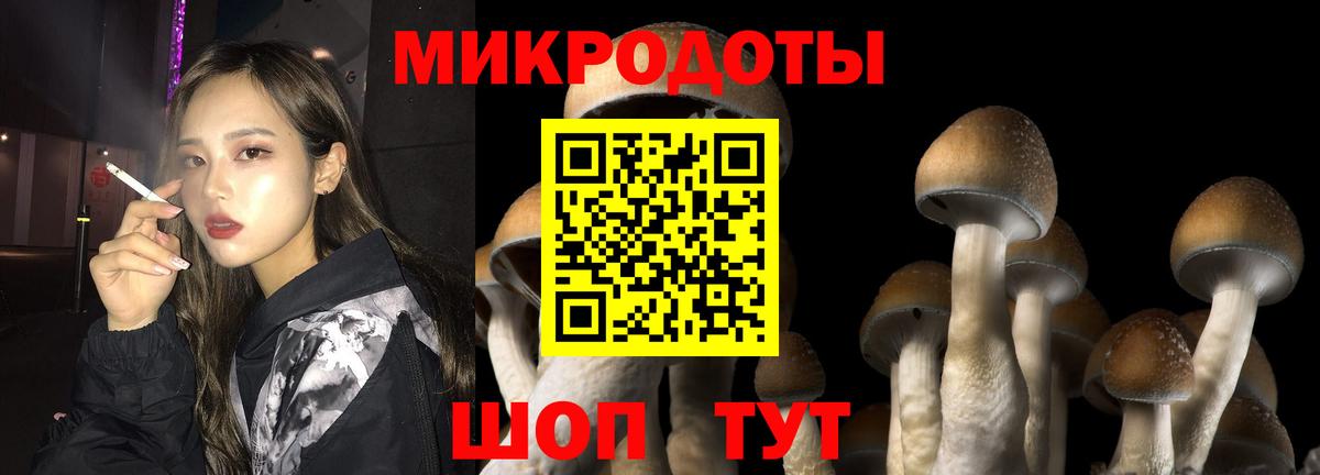 Галлюциногенные грибы GOLDEN TEACHER Зима